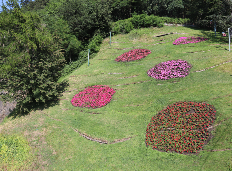 Aviary flower beds